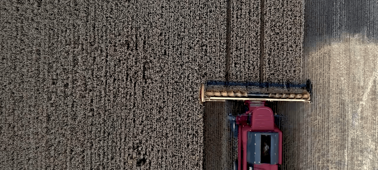 Agricultural commodities